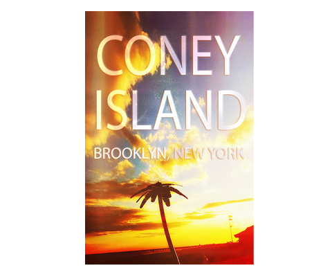 Coney Island Palm Tree Brooklyn Postcard