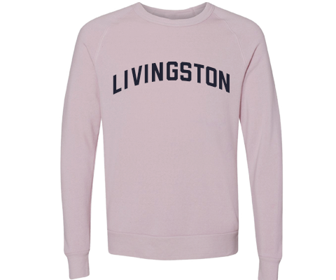 Livingston Staten Island Crew Neck Pullover Sweatshirt in Dusty Rose