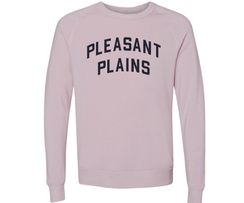 Pleasant Plains Staten Island Crew Neck Pullover Sweatshirt in Dusty Rose