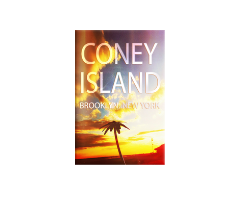 Coney Island Palm Tree Brooklyn New York Magnet