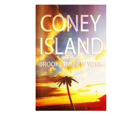 Load image into Gallery viewer, Coney Island Palm Tree Brooklyn Postcard
