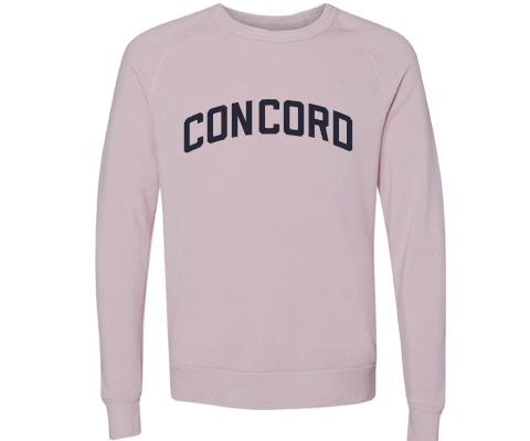 Concord Staten Island Crew Neck Pullover Sweatshirt in Dusty Rose