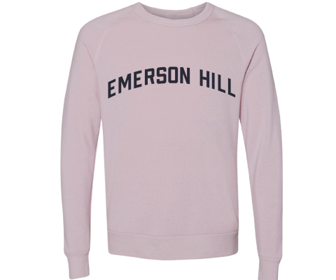 Emerson Hill Staten Island Crew Neck Pullover Sweatshirt in Dusty Rose