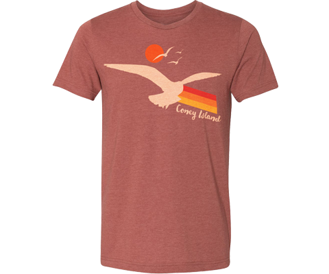 Coney Island t-shirt for adults, Seagull Sunset design on a clay color T-shirt, handmade gifts for everyone made in Brooklyn NY